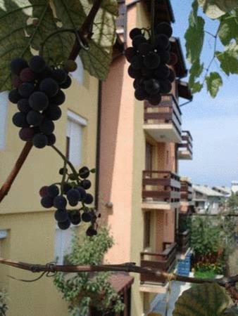 Mavrikova Kushta Hotel Bansko Ngoại thất bức ảnh