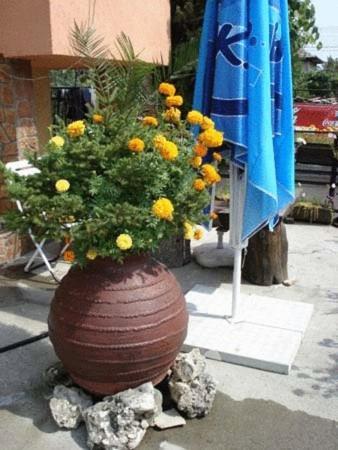 Mavrikova Kushta Hotel Bansko Ngoại thất bức ảnh